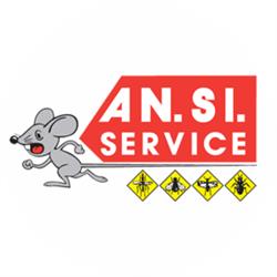 An.Si. Service