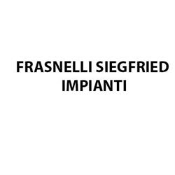 Frasnelli Siegfried Snc