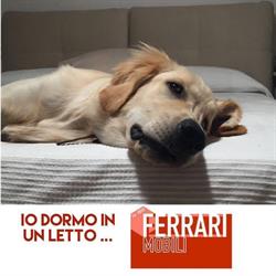 Fratelli Ferrari & C.