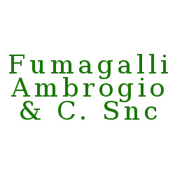 Fumagalli Ambrogio & C.
