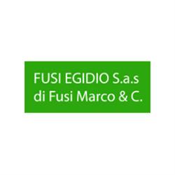 Fusi Egidio