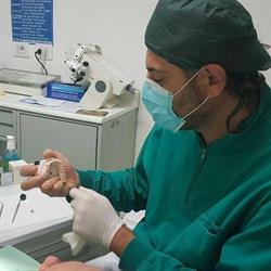 Studio Dentistico Fussi dr. Franco