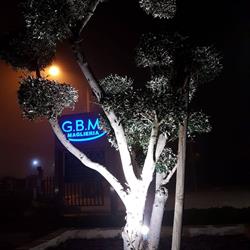 G.b.m. (Srl)