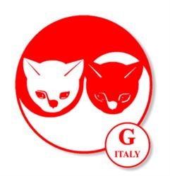 G.e.a. SRL