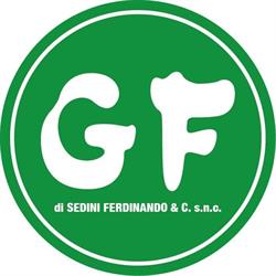 G.F. Di Sedini Ferdinando & C. S.N.C.