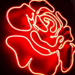 G.l. Neon (S.n.c.)