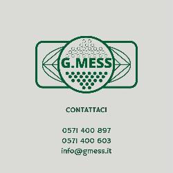 G. Mess Impresa di Pulizie e Disinfestazioni