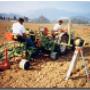 Macchine Agricole - Gal.Vit.