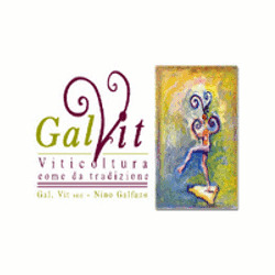 Gal. Vit.
