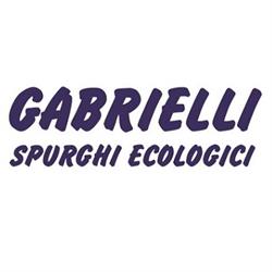 Gabrielli Spurghi Ecologici