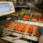 Gallery Professionale