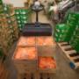 Gallery Professionale