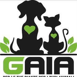 Gaia Guglielmo