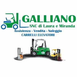 Galliano Michele SNC