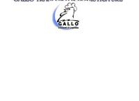 Gallo Trasporti SNC