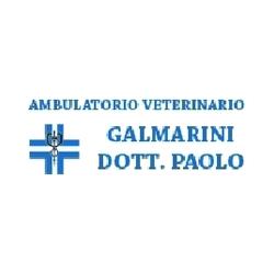 Ambulatorio Veterinario Galmarini Dr. Paolo