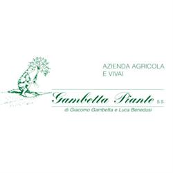 Gambetta Piante Vivai