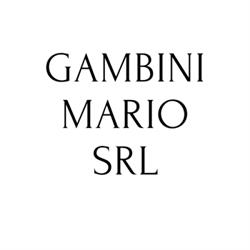 Gambini Mario