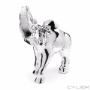 Caricato da visitatore il 30/10/2017 - Elefante satinato