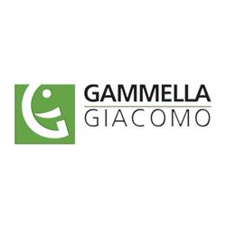 Gammella Giacomo - Rc Auto Napoli - Broker Assicurativo - Ramo Vita