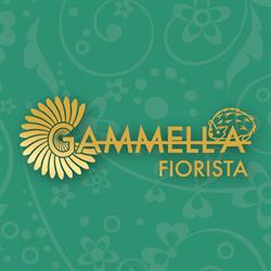 Gammella Paride