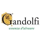 Gandolfi SRL Societa' Unipersonale