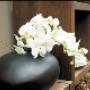 Vaso con Fiore