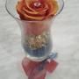Rosa stabilizzata