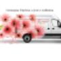 Spedire fiori e piante a casa
