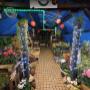 garden piante