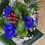 rose blu e bacche rosse