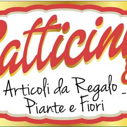 Gatticini Antonio