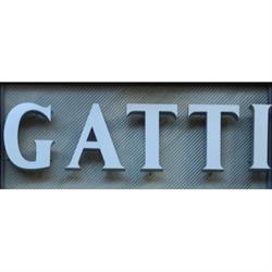 Gatti Roma