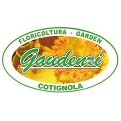 Floricoltura Gaudenzi - Vivaio / Manutenzione giardini