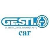 Ge.sti.car Di Li Vecchi Aldo & C. SNC