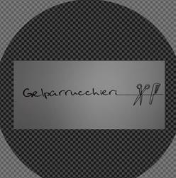 Gel Parrucchieri SNC