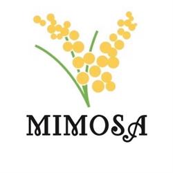 Gelateria La Mimosa