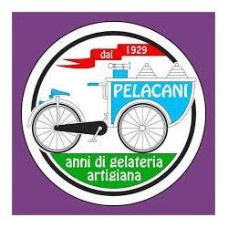 Gelateria Yogurteria Pelacani