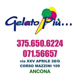 Gelato Piu'di Sandro Salvucci e C. SNC