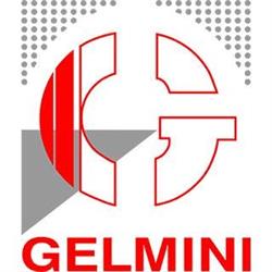 Gelmini Daniela