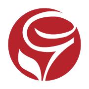 Geminiani SRL