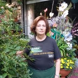 Gemma Fiori Di Giordano Mariateresa