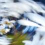 Elaborazione Dati - Servizio Conto Terzi