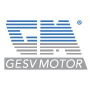 Gesv Motor SRL