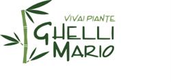 Ghelli Mario