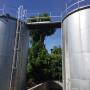 Gasolio