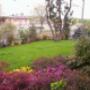Giardino con Fiori