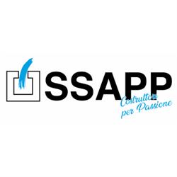 San Salvo Appalti SpA