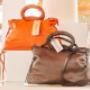 Gallery Professionale