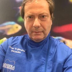 Ginefra Vincenzo (Dr.)